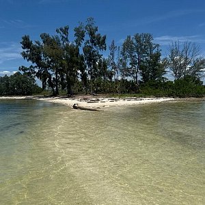 Beach run to Gulf beaches from Palmetto